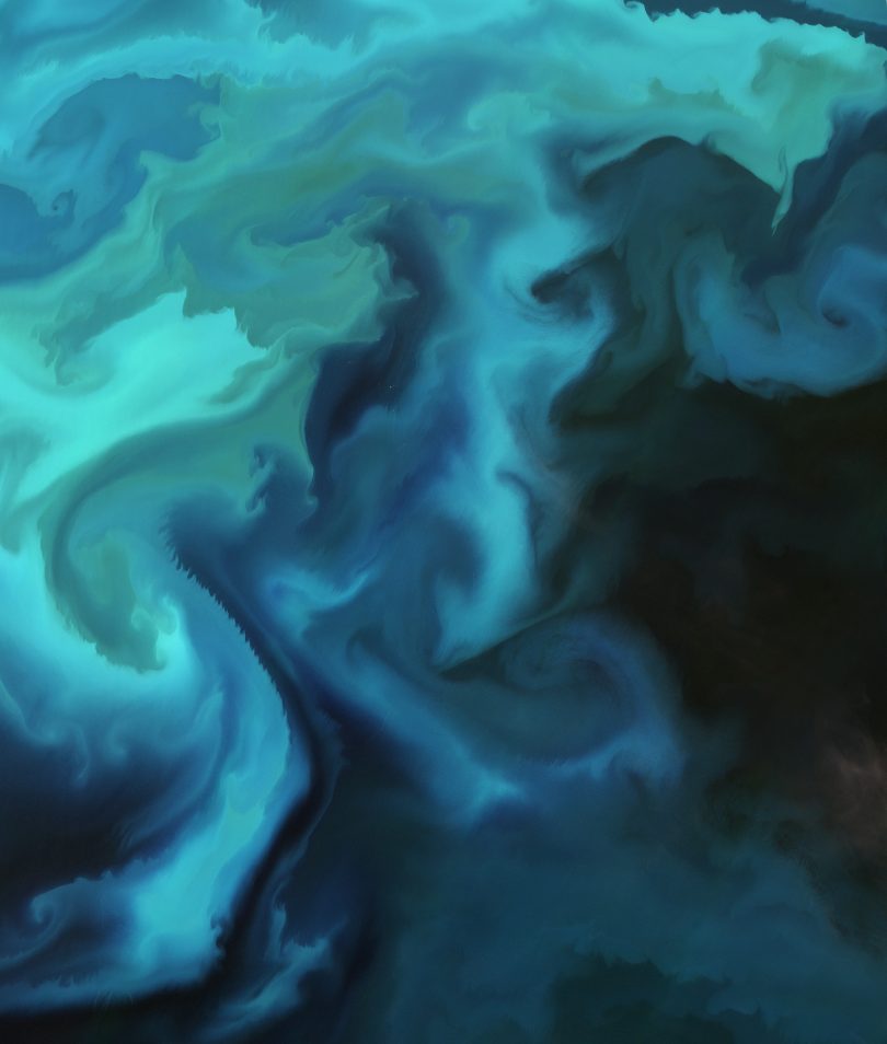 Floración en el Mar de Barents
