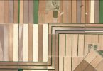 Webinar Planet
