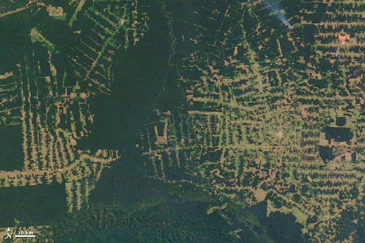 Deforestación en Amazonas