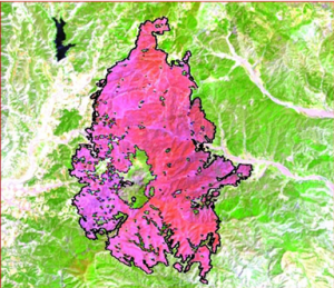 case-study-image-3_384x331